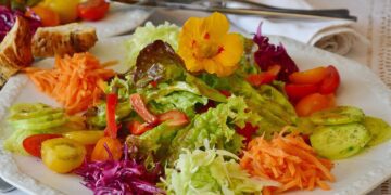 free diet programs to lose weight